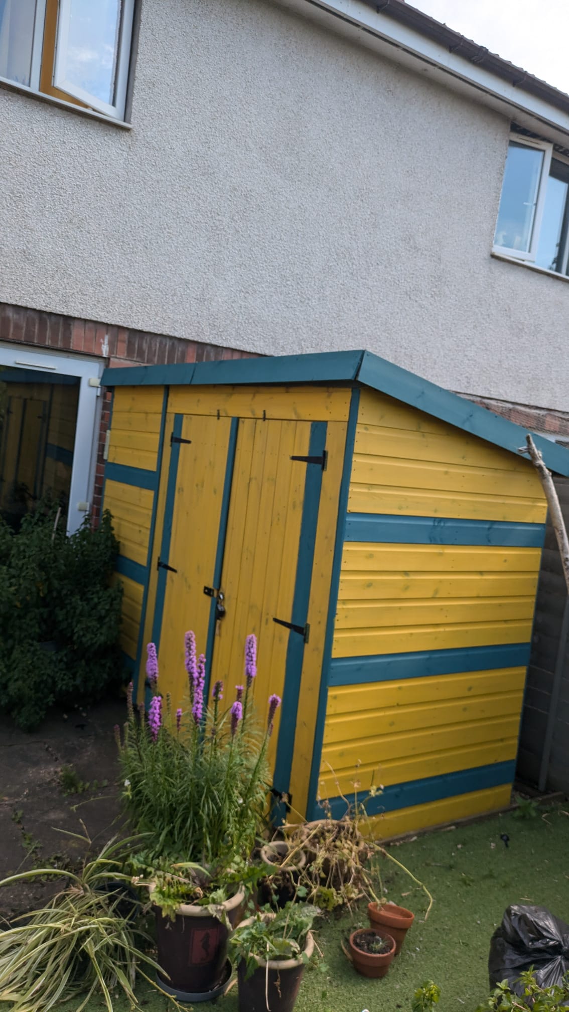 A Colorful Journey: Newport Removals' Shed Adventure from Chepstow Road to New Horizons